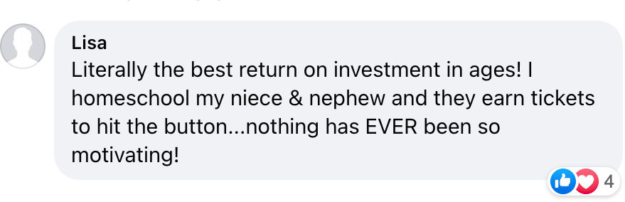 Lisa: Literally the best return on investment in ages! I homeschool my niece & nephew and they earn tickets to hit the button...nothing has EVER been so motivating!